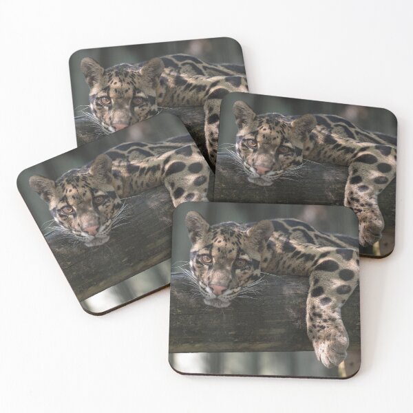 Item preview, I want to be Free designed and sold by Your search is over, it’s here! .