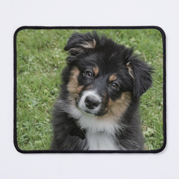 Item preview, Cutie Pie! designed and sold by Your search is over, it’s here! .