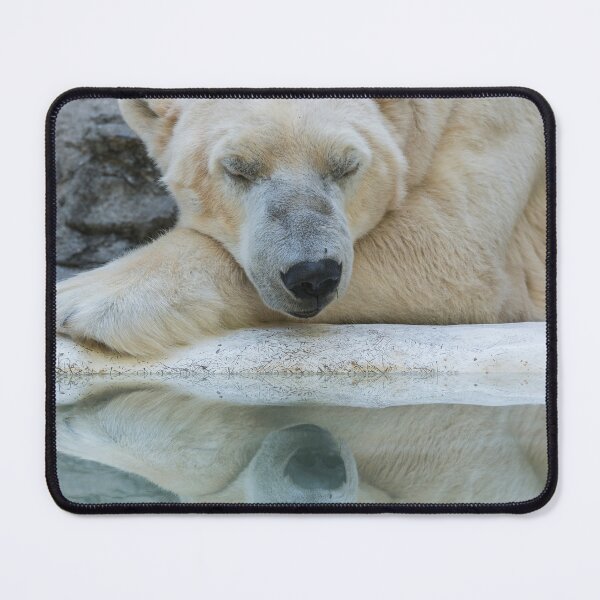 Item preview, Tundra reflecting on life! designed and sold by Your search is over, it’s here! .