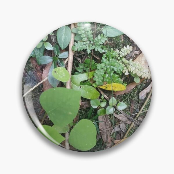 Item preview, Plant designed and sold by LJSliw.