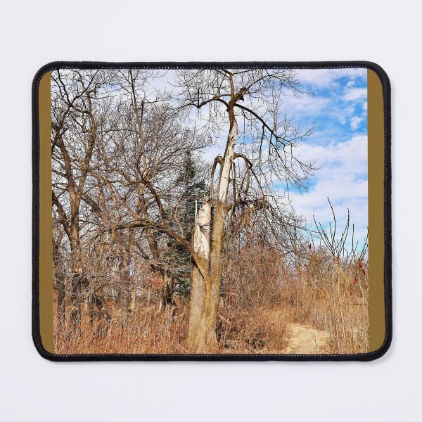 Item preview, A Tree with Quite a Story to Tell designed and sold by Martha Sherman.