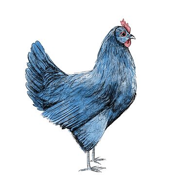Artwork thumbnail, Blue Hen by Laura Maxwell