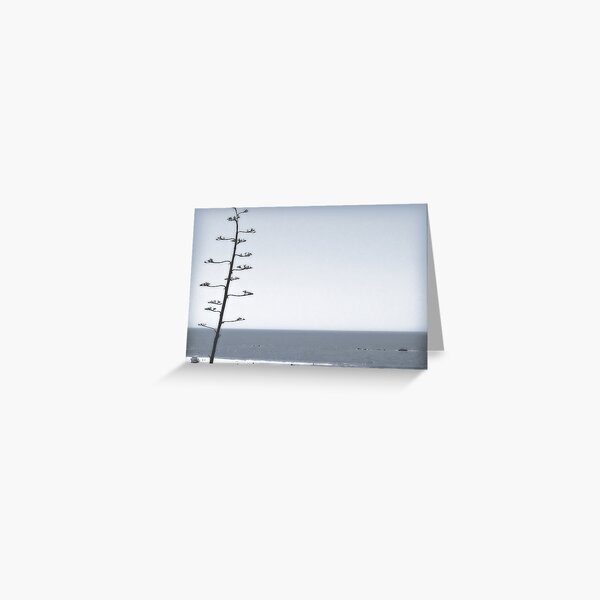 the beginning Greeting Card