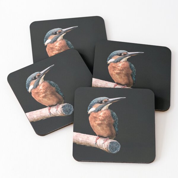Item preview, Kingfisher designed and sold by Tom McPherson Photography.