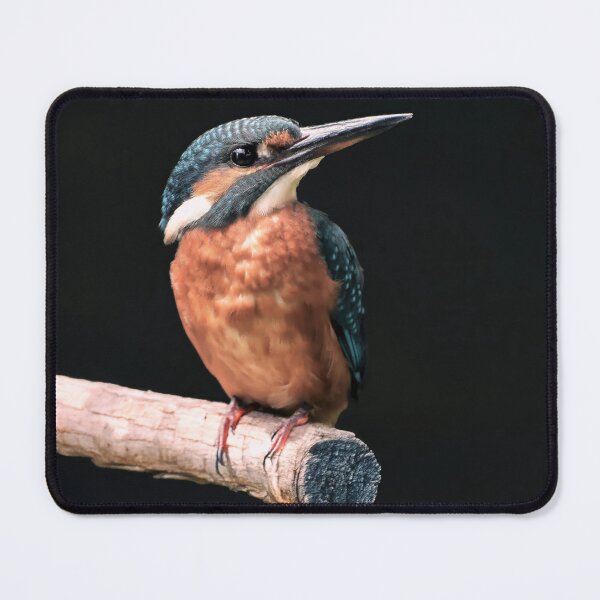 Item preview, Kingfisher designed and sold by Tom McPherson Photography.