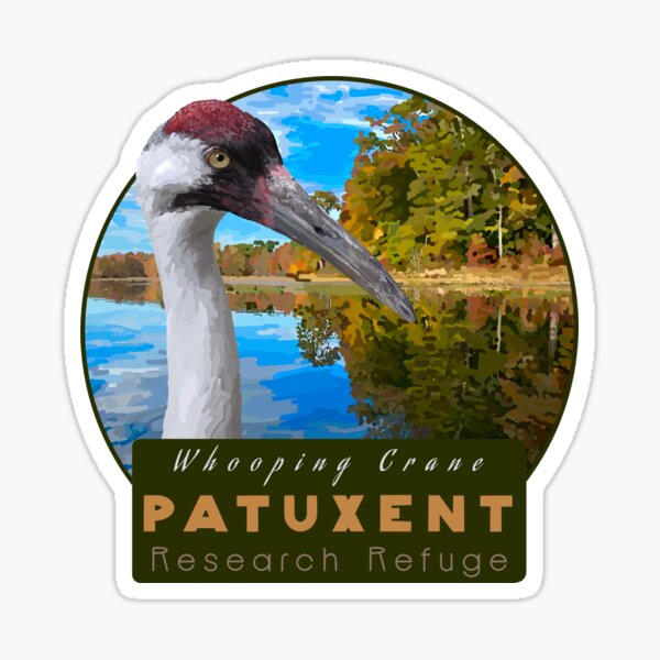 Item preview, Birds and Parks: Custom Whooping Crane (Fundraiser for International Crane Foundation)) designed and sold by LauraWolfArtist.