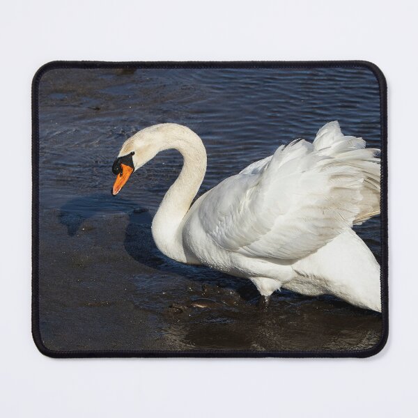 Item preview, swan designed and sold by luilli.