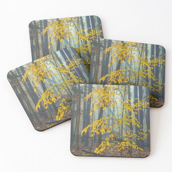 Item preview, Among the fog designed and sold by Chris Condello Landscape Photographer.