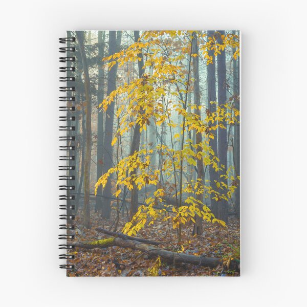 Item preview, Among the fog designed and sold by Chris Condello Landscape Photographer.