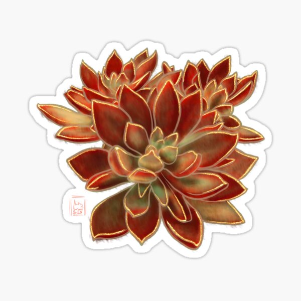 Succulent Jewels: Echevaria ‘Ruby Slippers’ Sticker