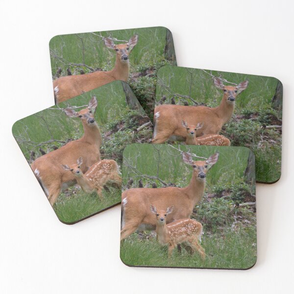 Item preview, White Tail Doe and Fawn designed and sold by JimGuy.