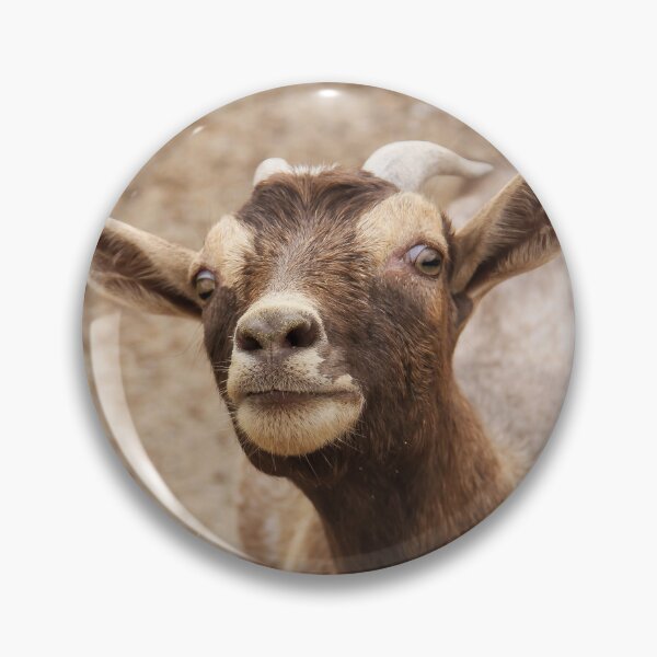 Item preview, Got Food? designed and sold by heatherfriedman.