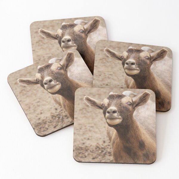 Item preview, Got Food? designed and sold by heatherfriedman.