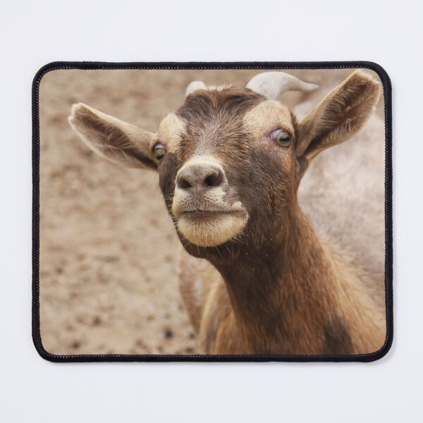 Item preview, Got Food? designed and sold by heatherfriedman.