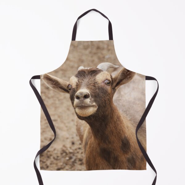 Item preview, Got Food? designed and sold by heatherfriedman.