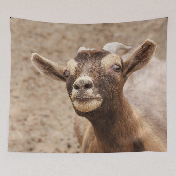 Item preview, Got Food? designed and sold by heatherfriedman.