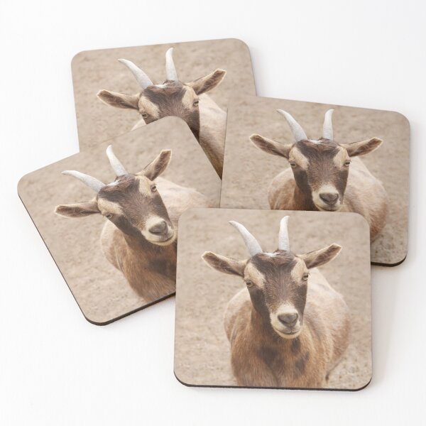 Item preview, Thanks For the Food! designed and sold by heatherfriedman.