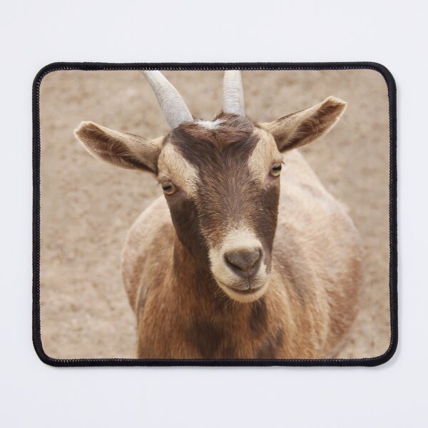 Item preview, Thanks For the Food! designed and sold by heatherfriedman.