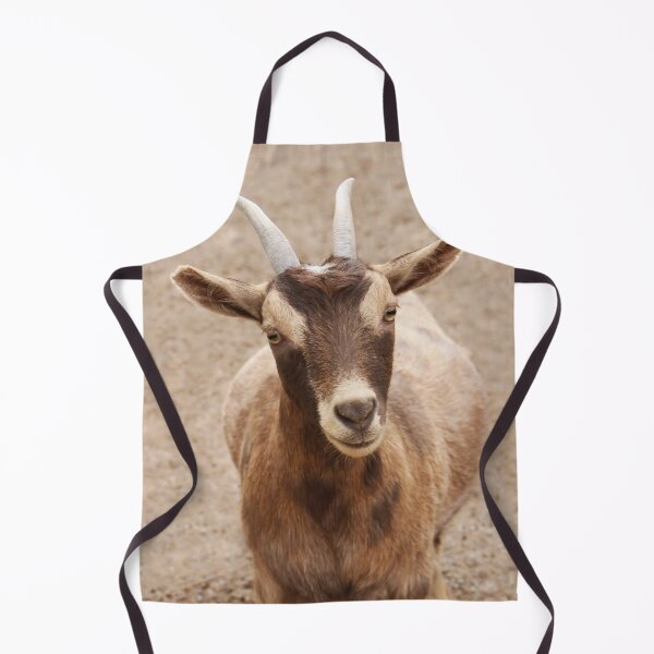Item preview, Thanks For the Food! designed and sold by heatherfriedman.