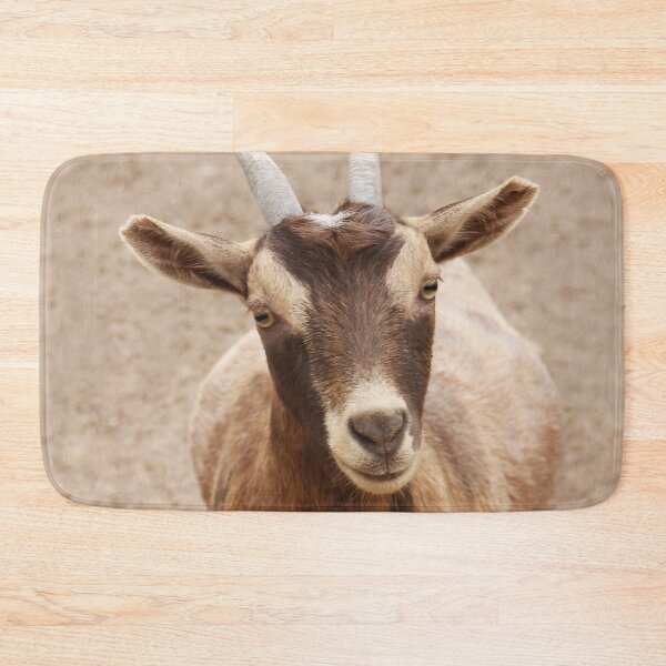 Item preview, Thanks For the Food! designed and sold by heatherfriedman.