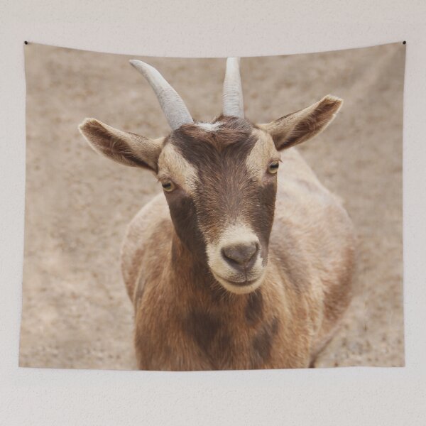Item preview, Thanks For the Food! designed and sold by heatherfriedman.