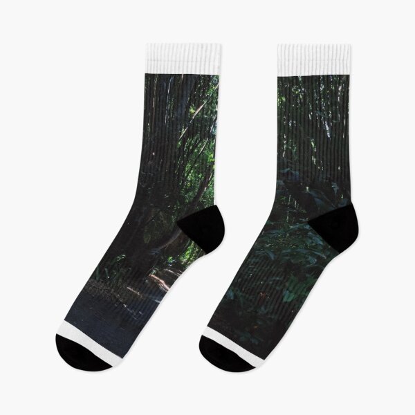 Item preview, Bamboo Tranquility and Reflective designed and sold by 35mmofry.