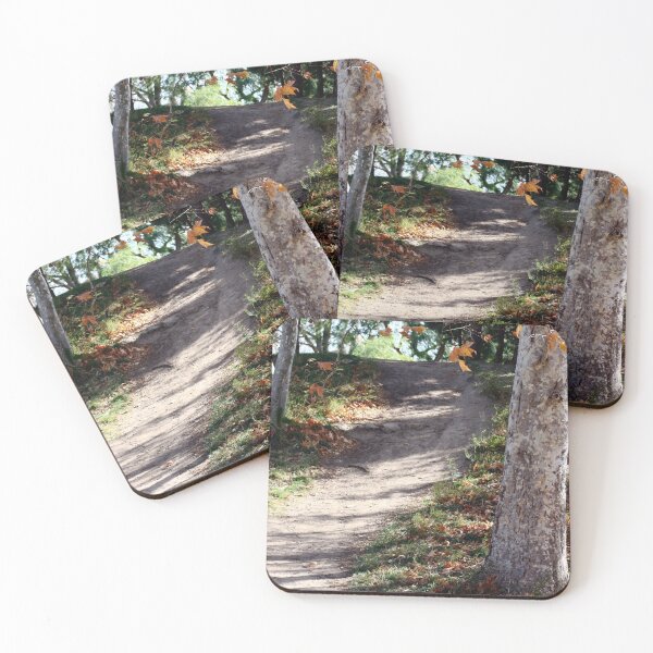 Item preview, Path designed and sold by Susan Rice.