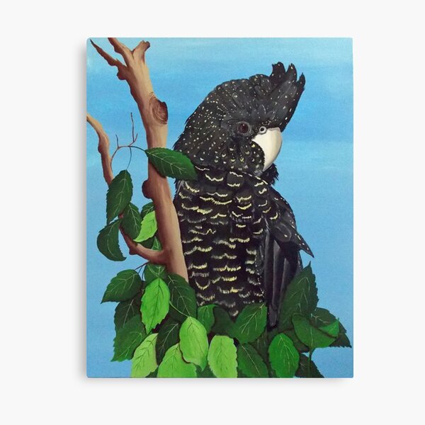 cockatoo pictures on canvas