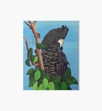 Black Cockatoo Art Board