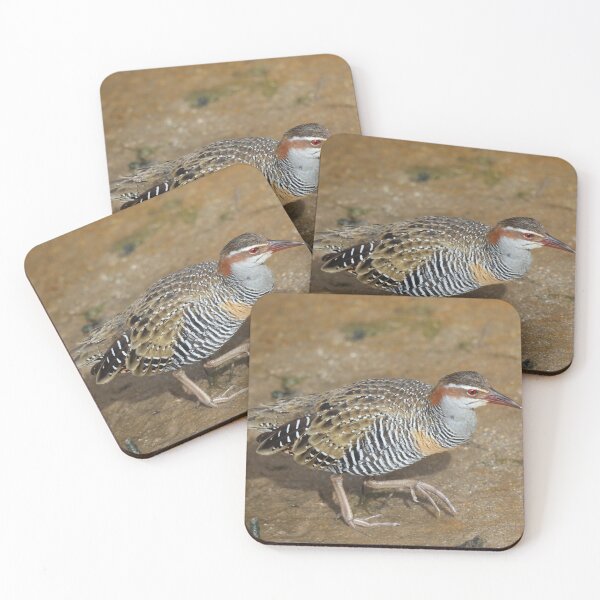 Item preview, Buff-banded Rail designed and sold by Steve Sass.
