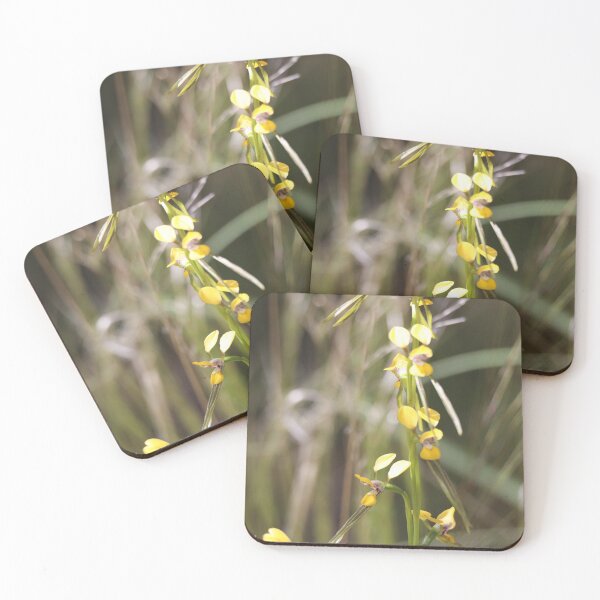 Item preview, Pine Donkey Orchid designed and sold by Steve Sass.