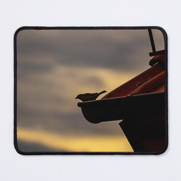Item preview, Silhouette of Silence – A Bird in the Evening Light designed and sold by Sebamon29.