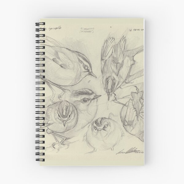 Item preview, firecrest pencil sketches designed and sold by LucaMilioneArt.