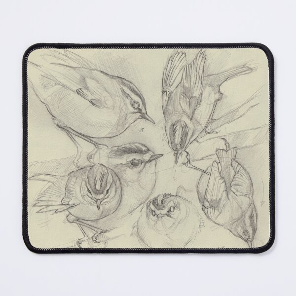 Item preview, firecrest pencil sketches designed and sold by LucaMilioneArt.
