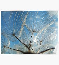 PATTERNS OF NATURE Poster