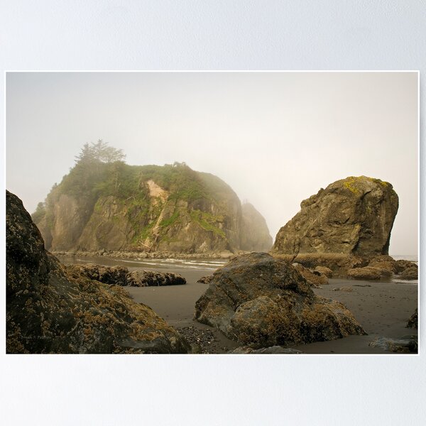 Item preview, Abbey Island designed and sold by Buzzimage.