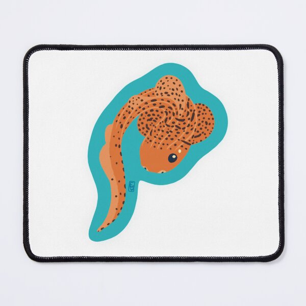Item preview, Curly Zebra Shark designed and sold by FaunaMuse.