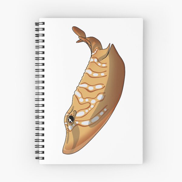 Item preview, Eastern Fiddler Ray designed and sold by FaunaMuse.