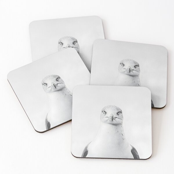 Item preview, Realistic Seagull Pencil Drawing designed and sold by Pencil-Art.
