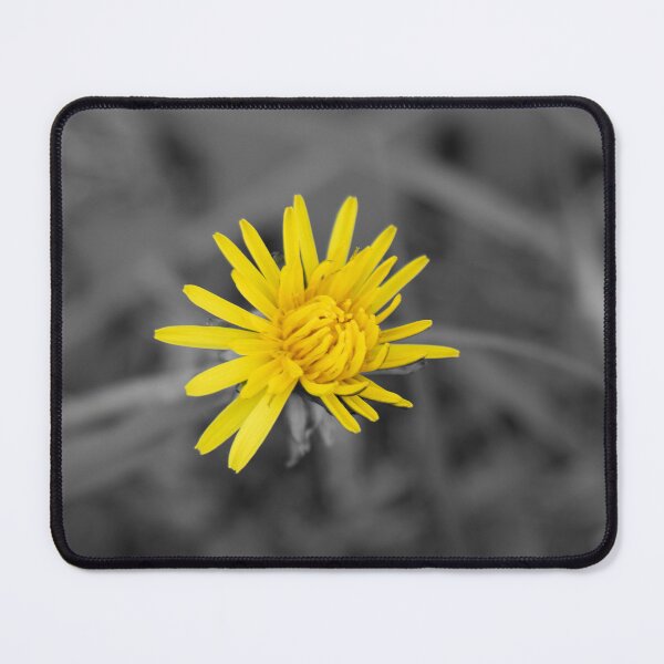 Item preview, Single Yellow Dandelion designed and sold by Boujiee-Boutique.