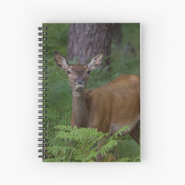 Item preview, Doe on the lookout designed and sold by ClemsSpot.