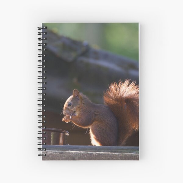 Item preview, Squirrel's Breakfast designed and sold by ClemsSpot.