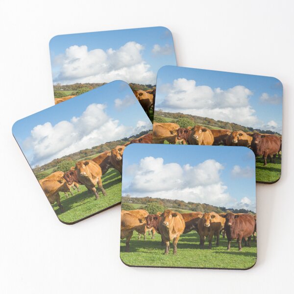 Item preview, Limousin Cows designed and sold by Jane Stanley Photography.