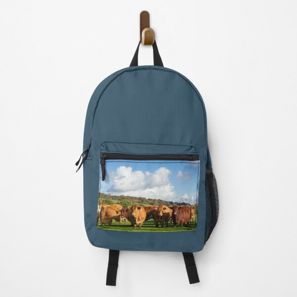 Item preview, Limousin Cows designed and sold by Jane Stanley Photography.