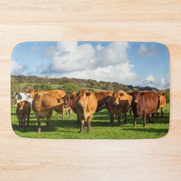 Item preview, Limousin Cows designed and sold by Jane Stanley Photography.