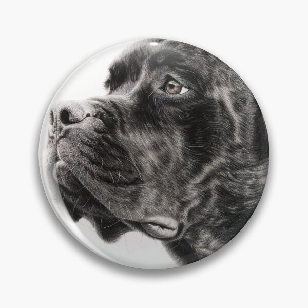 Item preview,  Black and white Cane Corso pencil drawing designed and sold by Pencil-Art.