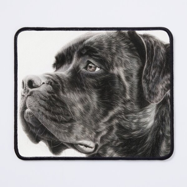Item preview, Black and white Cane Corso pencil drawing designed and sold by Pencil-Art.