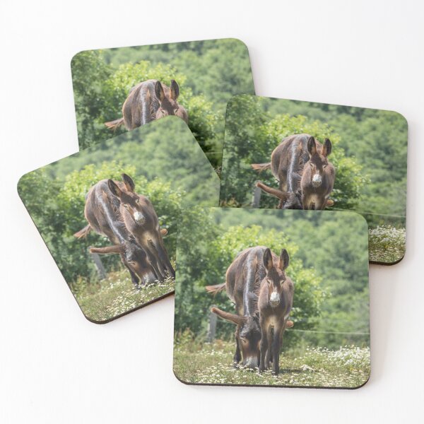 Item preview, Donkeys designed and sold by Jane Stanley Photography.