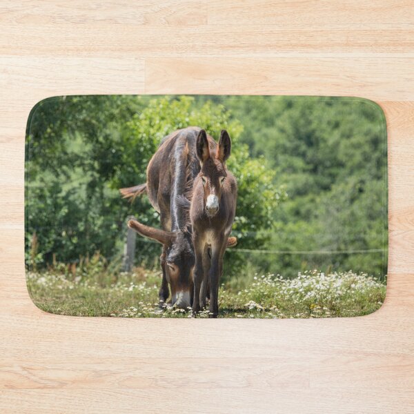 Item preview, Donkeys designed and sold by Jane Stanley Photography.
