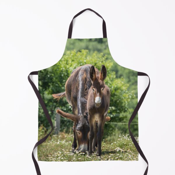 Item preview, Donkeys designed and sold by Jane Stanley Photography.